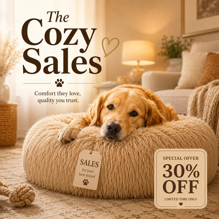 The Cozy Sale