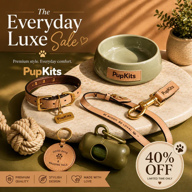 The Everyday luxe offer.